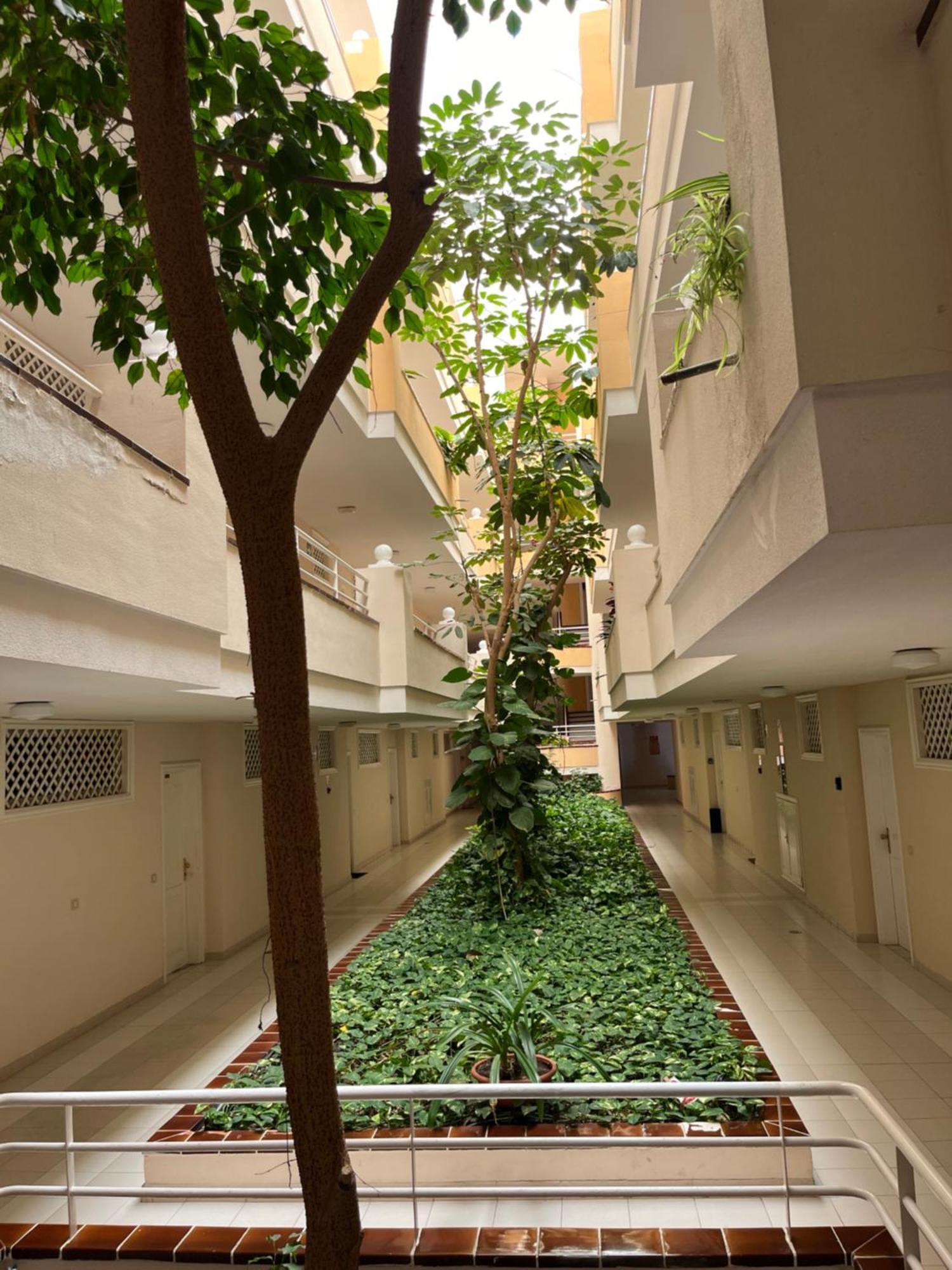Lory Sweet Home Puerto de Santiago (Tenerife) Exterior foto